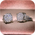 Sparkling Elegance Earrings